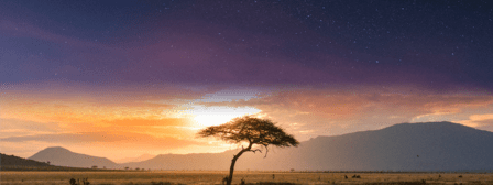 Gracy Travel International