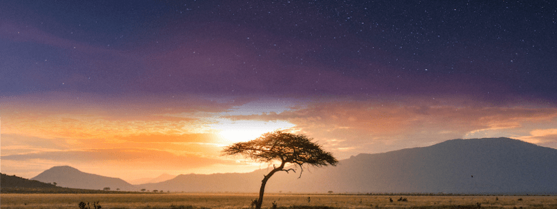 Gracy Travel International