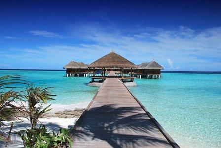 Amber Rau Travel
