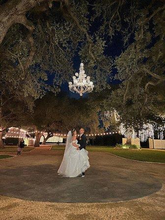 Glimmering Oaks