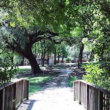 Shady Oaks Ranch