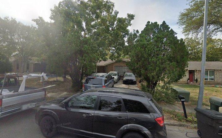 Alamo Blanco st