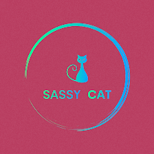 Sassy Cat