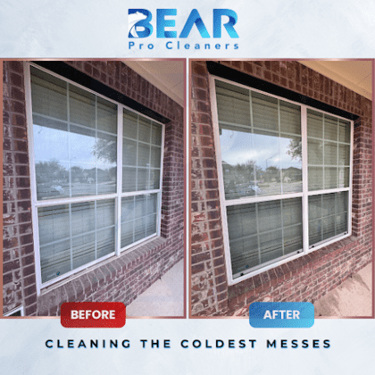 Bear Pro Cleaners