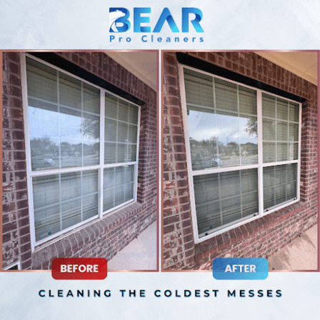 Bear Pro Cleaners