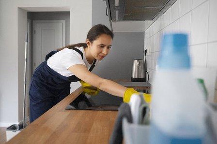 Quacktastic Cleaners