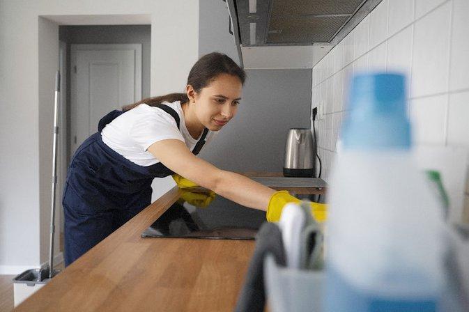 Quacktastic Cleaners