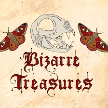 Bizarre Treasures (Oddity Shop)