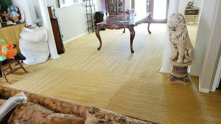 America's Choice Carpet Cleaning