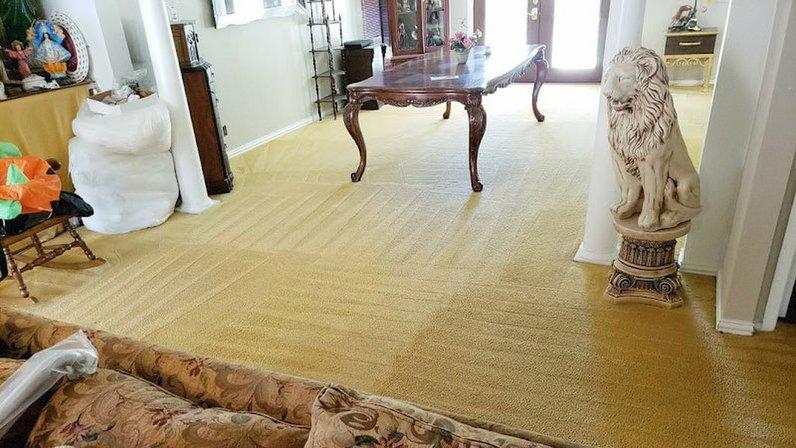America's Choice Carpet Cleaning