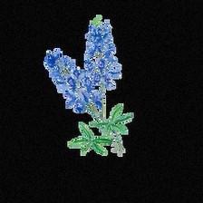 Bluebonnet Cleaning Service, LLC