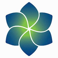 Allegiance Environmental Services (EVS)