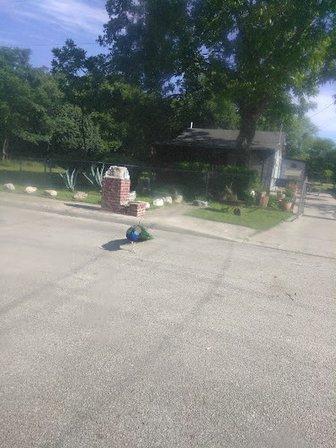 Zinnel Remodeling & Pressure