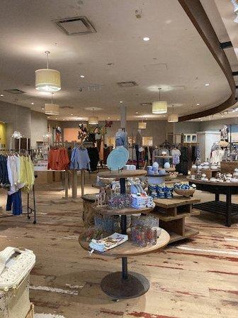 Anthropologie
