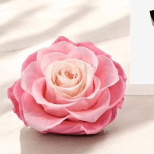Bloomshop