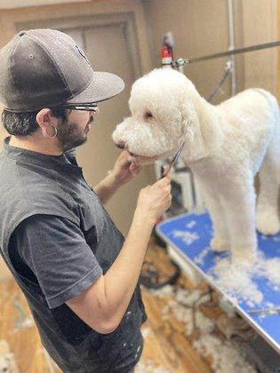 Punky Pups Grooming and Such
