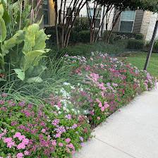 Green Landscapes, LLC