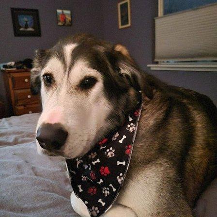 Bandana Club