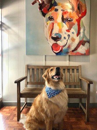 Happy Pawz
