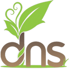 DNS Landscaping