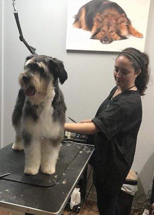 Head 2 Tails Professional Pet Salon & Spa
