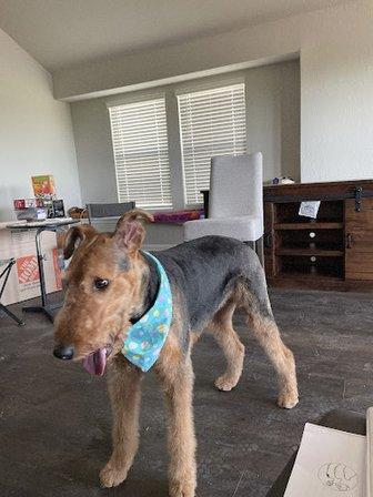 Sweet Magnolia's Pet Resort & Spa
