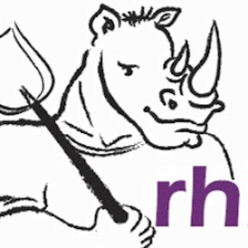 rhinamic.com