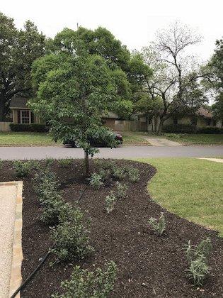Schultz & Co Landscapes