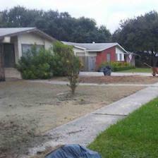 Lone Star Landscaping and Tree Service