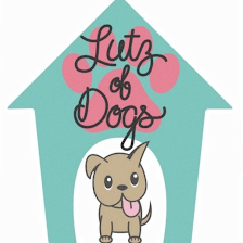 Lutz of Dogs, LLC