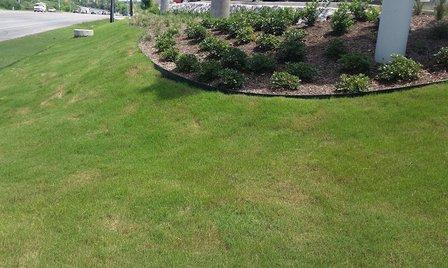 PRO LANDSCAPE SOLUTIONS LLC