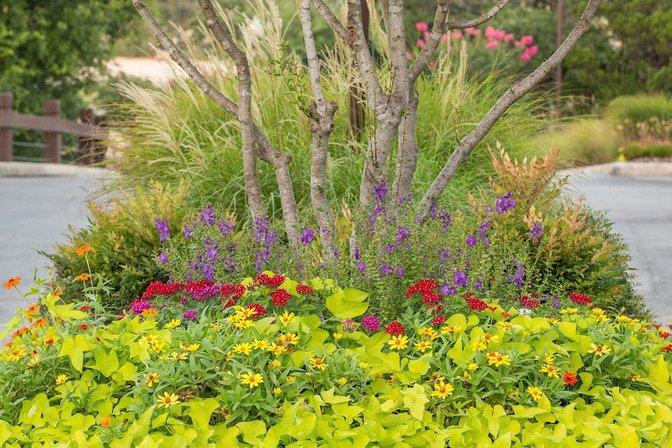Gratr Landscapes Ltd