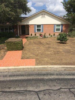 The Grass Company
