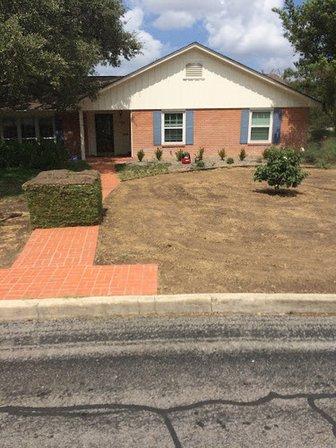 The Grass Company