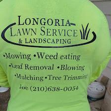 Longoria Lawn and Landscaping