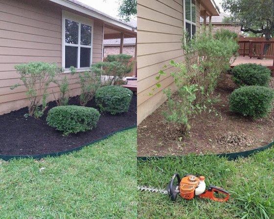 Longoria Lawn and Landscaping