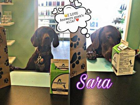 Whole Pet Essentials & Greener Grooming