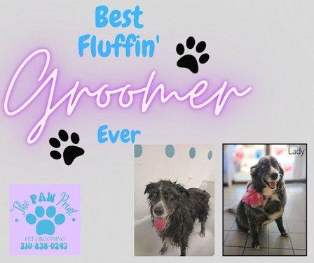The Paw Print LLC