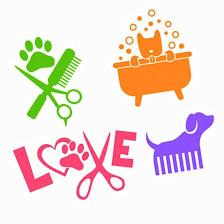 Priscilla's Bark and bath