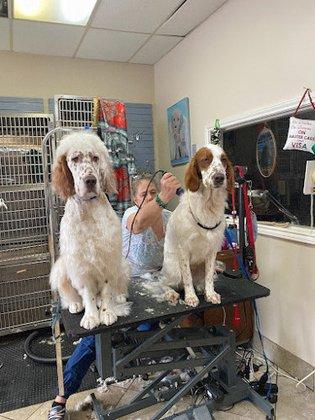 Grooming By Gloria