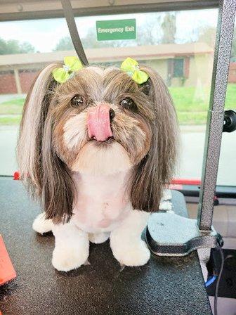 Fine Whine's & Lickers Dog Bar and Spa
