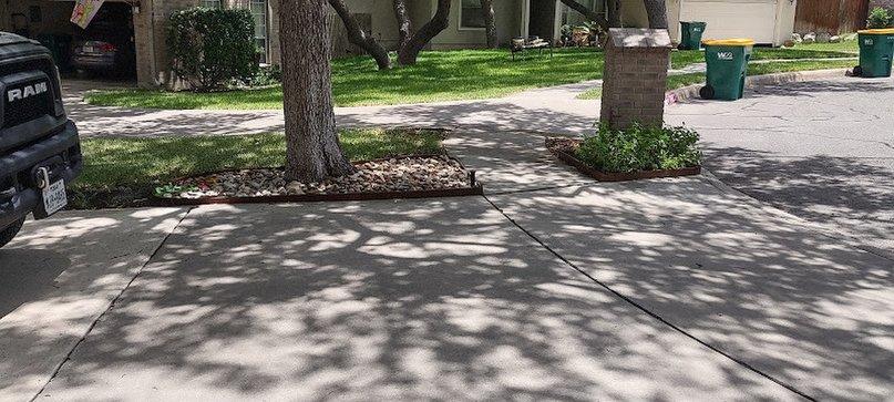 The Tree Man Tree Care And Landscape
