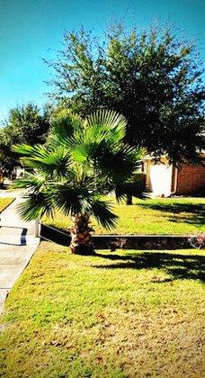 Land-N-Lawns - Landscaping
