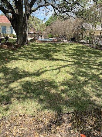 Apex Landscaping
