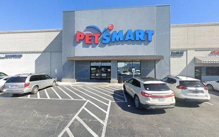 PetSmart Grooming