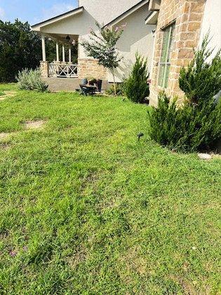 Andrew's Tree & Landscaping Services