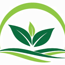 Scenic Green Landscaping