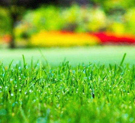 Prestige1 Lawn Service