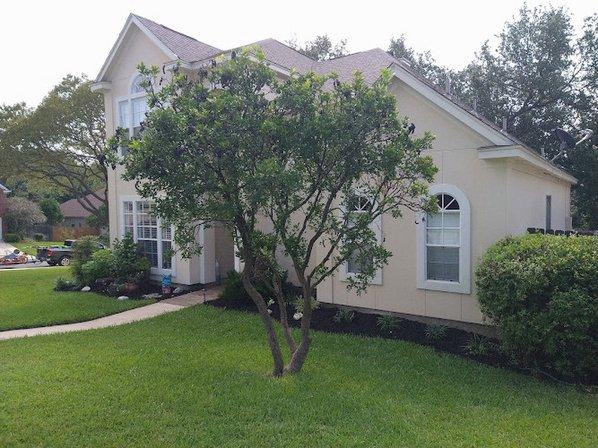 Tree Experts San Antonio