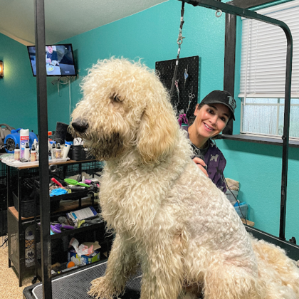 The Shed Dog Grooming